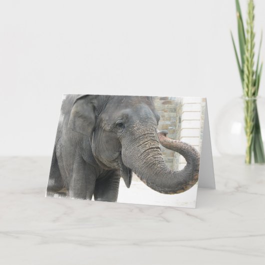 Carte de voeux pour éléphant de trompette (Devant)