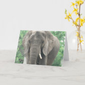 Carte de voeux pour éléphant usé (Fleur jaune)