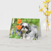 Carte de voeux pour fille Shitzu (Fleur jaune)