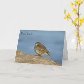 Carte de voeux pour la faune (Fleur jaune)