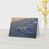 Carte de voeux pour la faune du castor canadien (Fleur jaune)