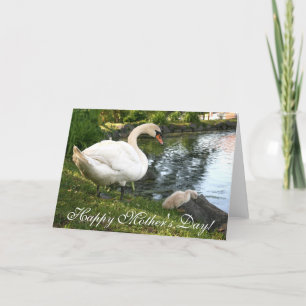 Carte de voeux pour la Fête des Mères Swan et bébé