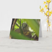 Carte de voeux pour la tourterelle tachetée (Fleur jaune)