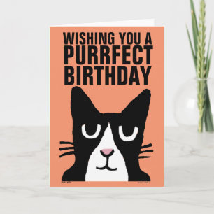 Carte de voeux pour l'anniversaire CAT, Panda Kitt