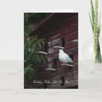 Carte de voeux pour l'anniversaire de la colombe