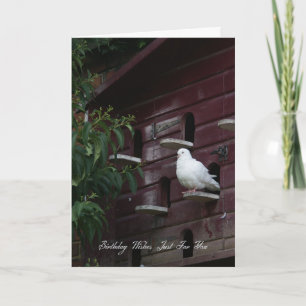 Carte de voeux pour l'anniversaire de la colombe