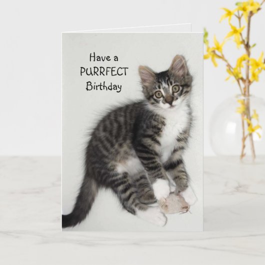 Carte de voeux pour l'anniversaire de Zorro Catnip (Fleur jaune)