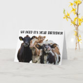 Carte de voeux pour l'anniversaire des vaches amus (Fleur jaune)