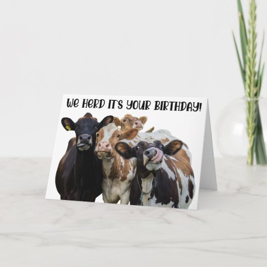 Carte de voeux pour l'anniversaire des vaches amus (Devant)