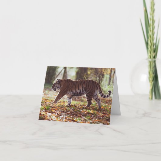 Carte de voeux pour l'anniversaire du Big Tiger (Devant)