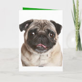 Carte de voeux pour l'anniversaire du chien coquel (Dos)