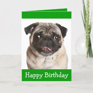 Carte de voeux pour l'anniversaire du chien coquel