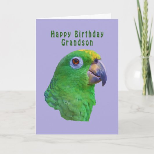 Carte de voeux pour l'anniversaire du perroquet ve (Devant)