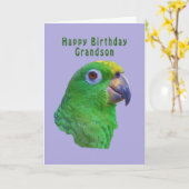 Carte de voeux pour l'anniversaire du perroquet ve (Fleur jaune)