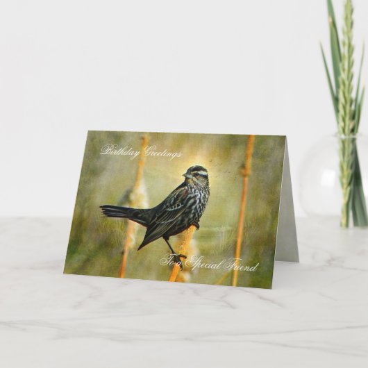 Carte de voeux pour l'anniversaire en Limelight (Devant)