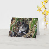 Carte de voeux pour l'anniversaire Kitty (Fleur jaune)