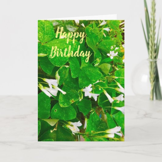 Carte de voeux pour l'anniversaire Shamrock (Devant)