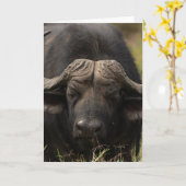 Carte de voeux pour le buffle d'eau (Fleur jaune)