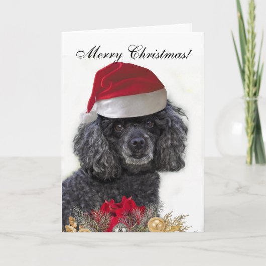 Carte de voeux pour le chien de caniche de Noël (Devant)