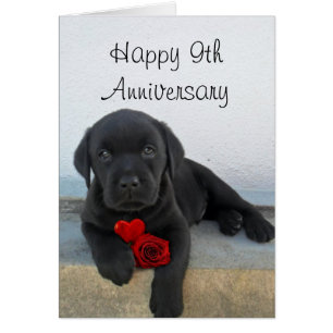 Carte de voeux pour le chiot Labrador du 9e annive