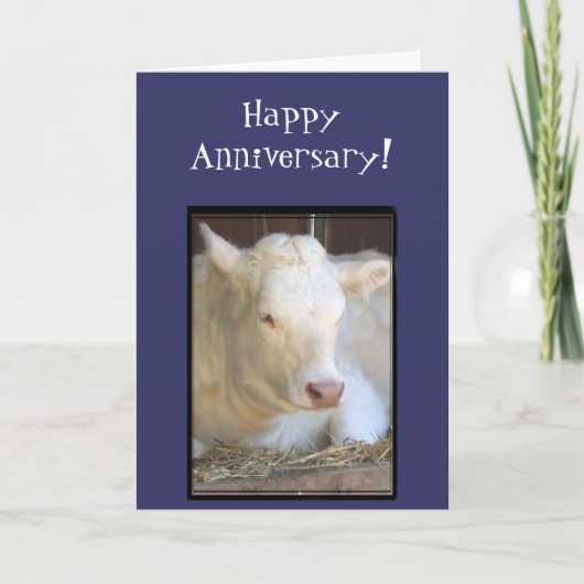 Carte de voeux pour le joyeux anniversaire de vach (Devant)