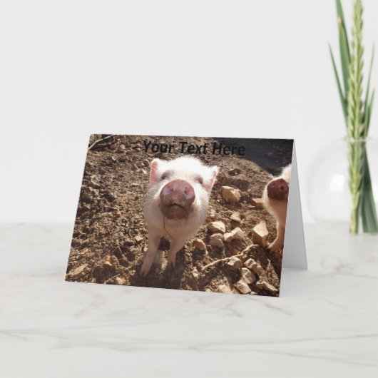 Carte de voeux pour le mini-cochon de viande sale (Devant)