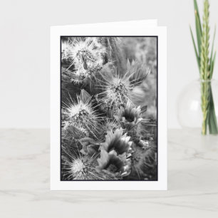 Carte de voeux pour le pétale opposé