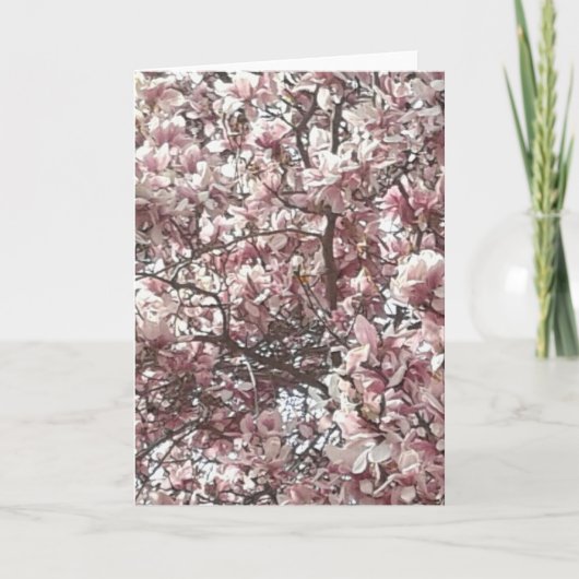 Carte de voeux pour le printemps (Devant)
