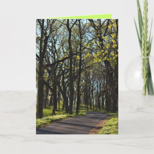 Carte de voeux pour le printemps! (Devant)