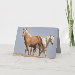 Carte de voeux pour les chevaux sauvages de Mares