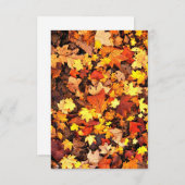 Carte de voeux pour les vols d'automne (Devant / Derrière)