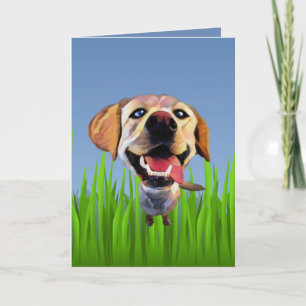 Carte de voeux pour l'extracteur Labrador Cartoon