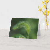 Carte de voeux pour l'herbe grasse H (Fleur jaune)