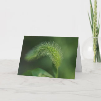 Carte de voeux pour l'herbe grasse H