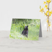 Carte de voeux pour l'ours noir (Fleur jaune)
