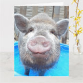 Carte de voeux pour mini-cochon adorable personnal (Fleur jaune)