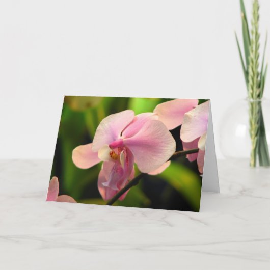 Carte de voeux pour orchidée rose (Devant)