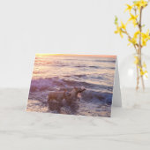 Carte de voeux pour photos vierges de Golden Retri (Fleur jaune)