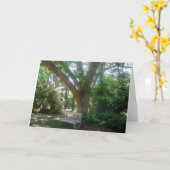 Carte de voeux pour se détendre (Fleur jaune)