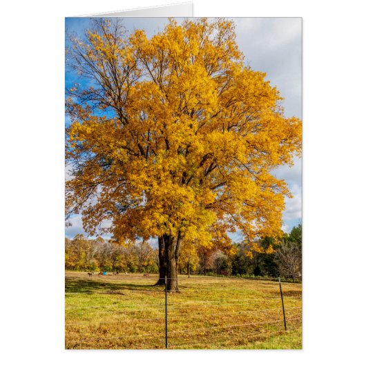 Carte de voeux pour sucre jaune d'automne (Devant)