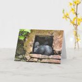 Carte de voeux pour tous les amoureux (Fleur jaune)