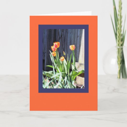 Carte de voeux pour tulipes lumineuses (Devant)