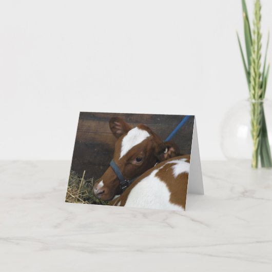 Carte de voeux pour veau (Devant)