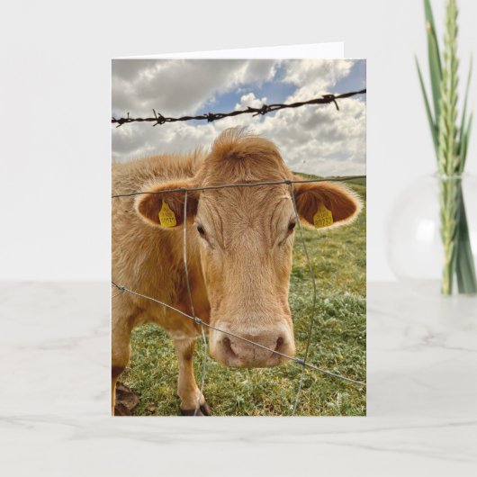 Carte de vœux pour vous de la part d'une vache (Devant)