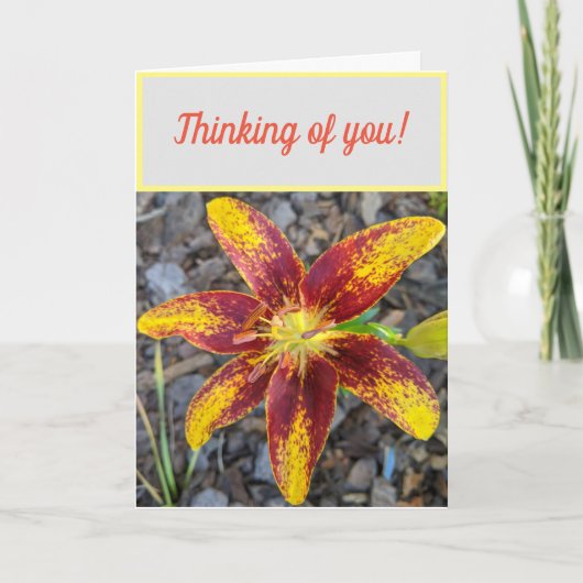 Carte de vœux pour vous Lilly (Devant)