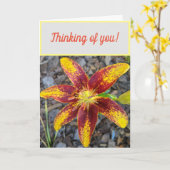 Carte de vœux pour vous Lilly (Fleur jaune)