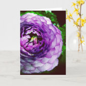Carte de voeux pourpre de blanc de Ranunculus (Fleur jaune)