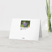 Carte de voeux pourpre de nouvelle année de Noël (Dos)