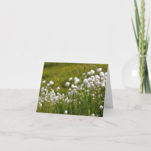 Carte de vœux Prairie d'herbe de coton - 4" x 5.6"
