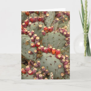 Carte de voeux Prickly pear